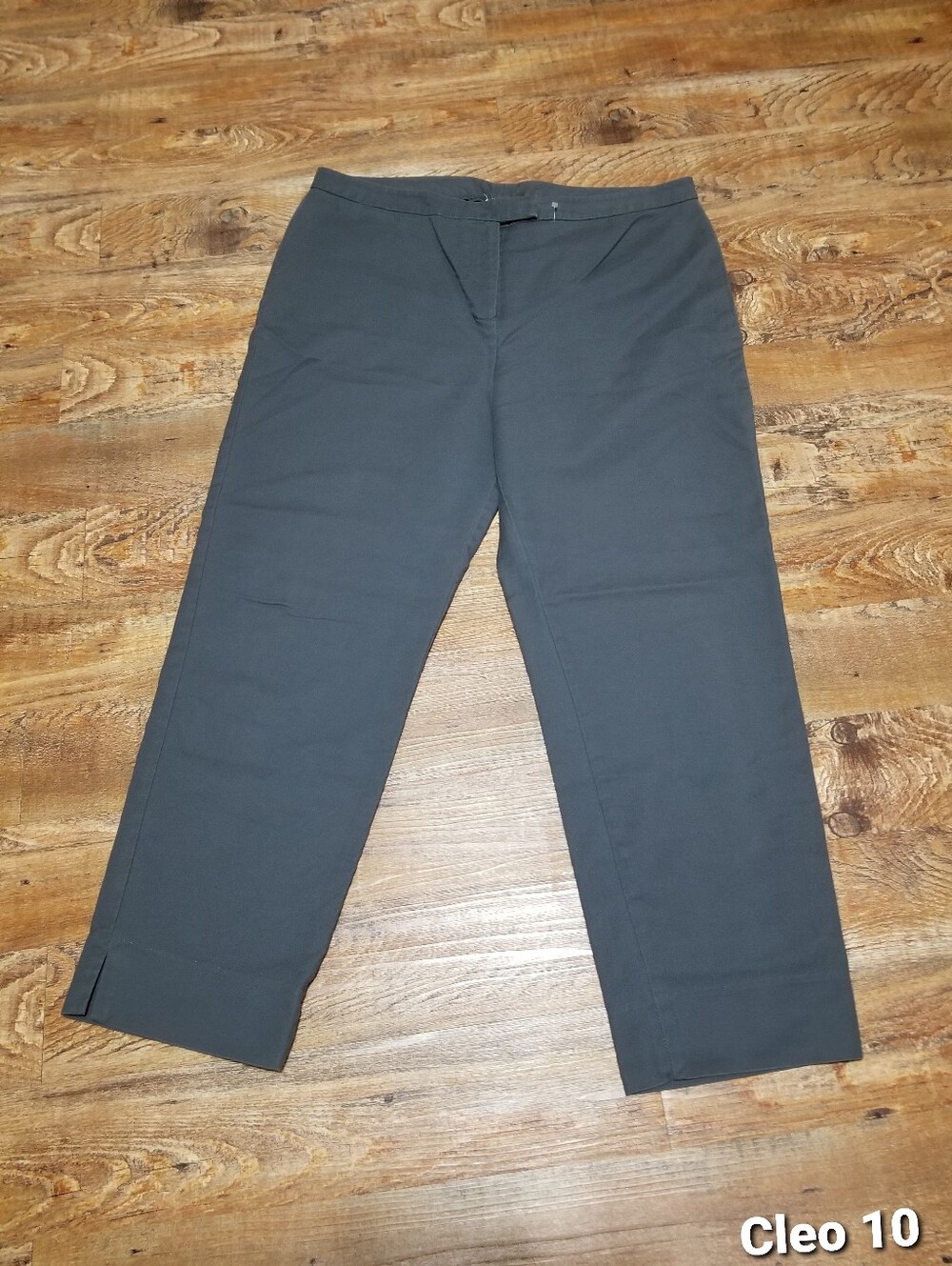 Cleo Dress Pants - Dark Gray 10 Ankle